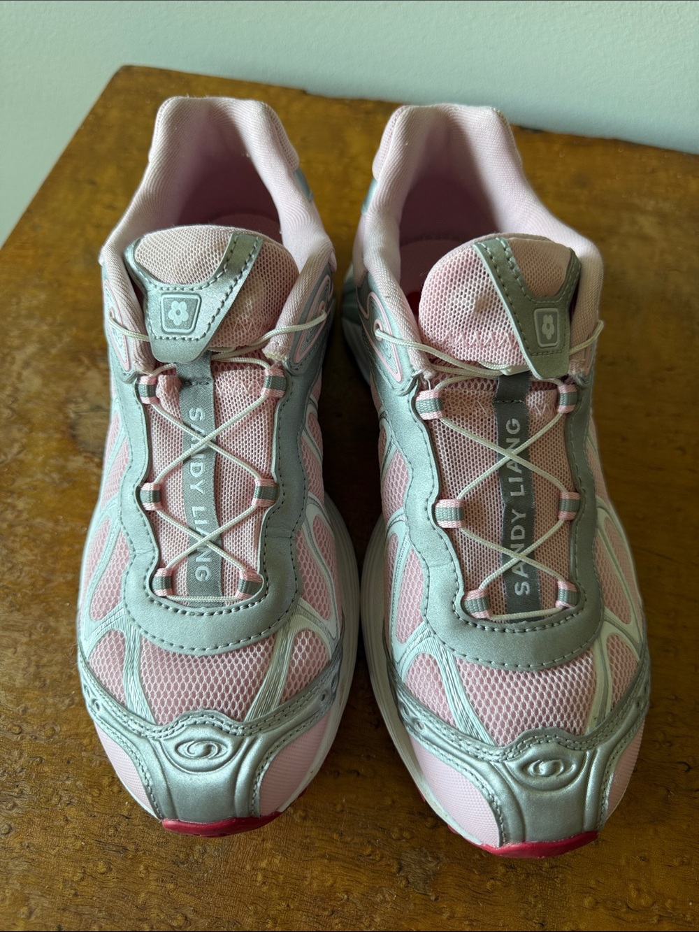 Sandy Liang x SALOMON